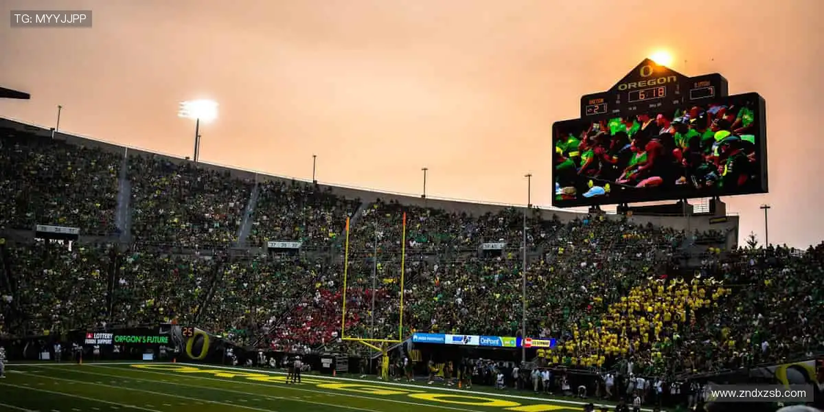 🎯 专业装备，助力突破极限！💪 每一次挥拍，都是精准的胜利！